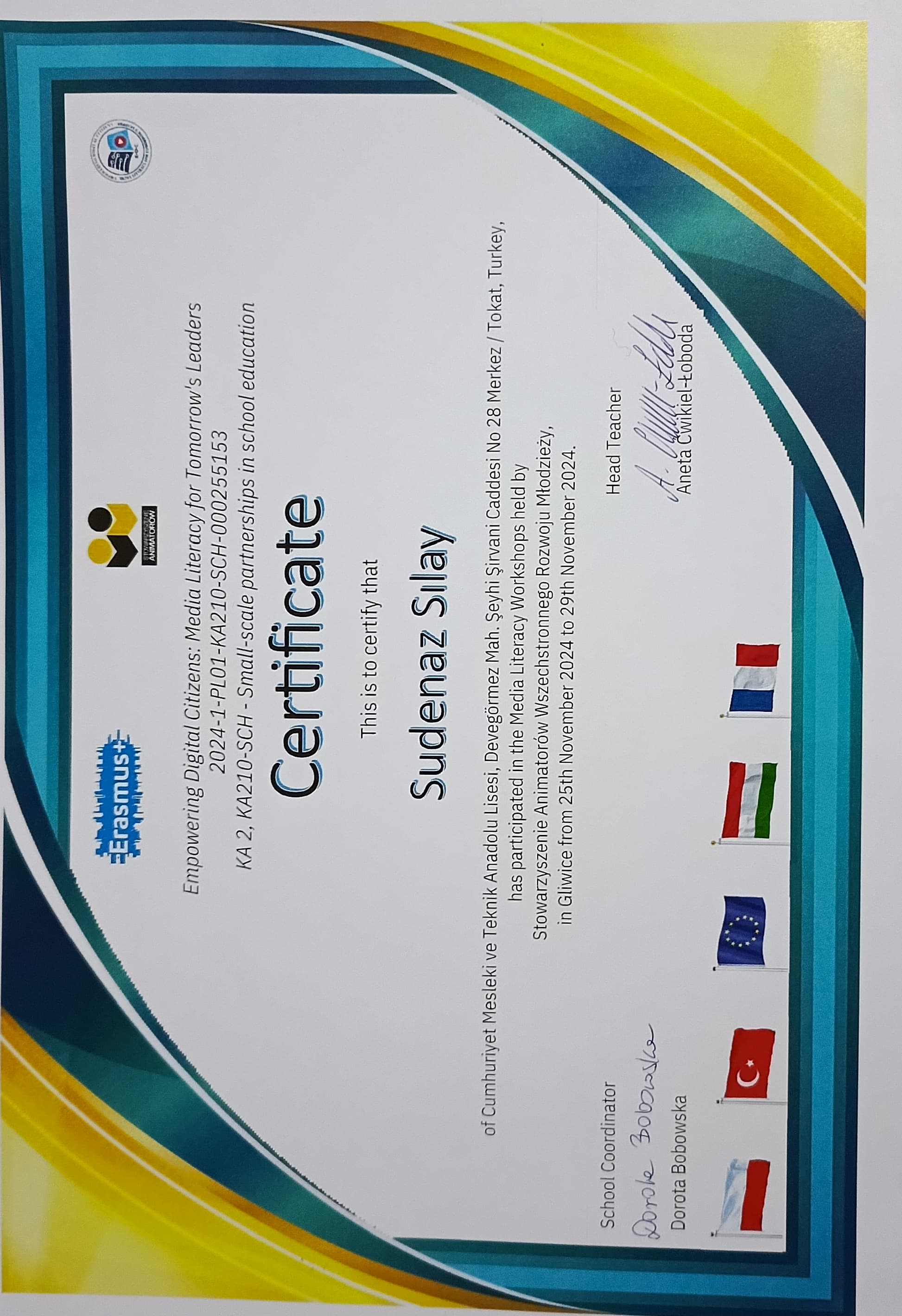 Sertifika 2